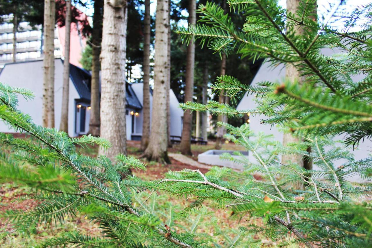 Boro Green Holiday Village Borovets Eksteriør bilde