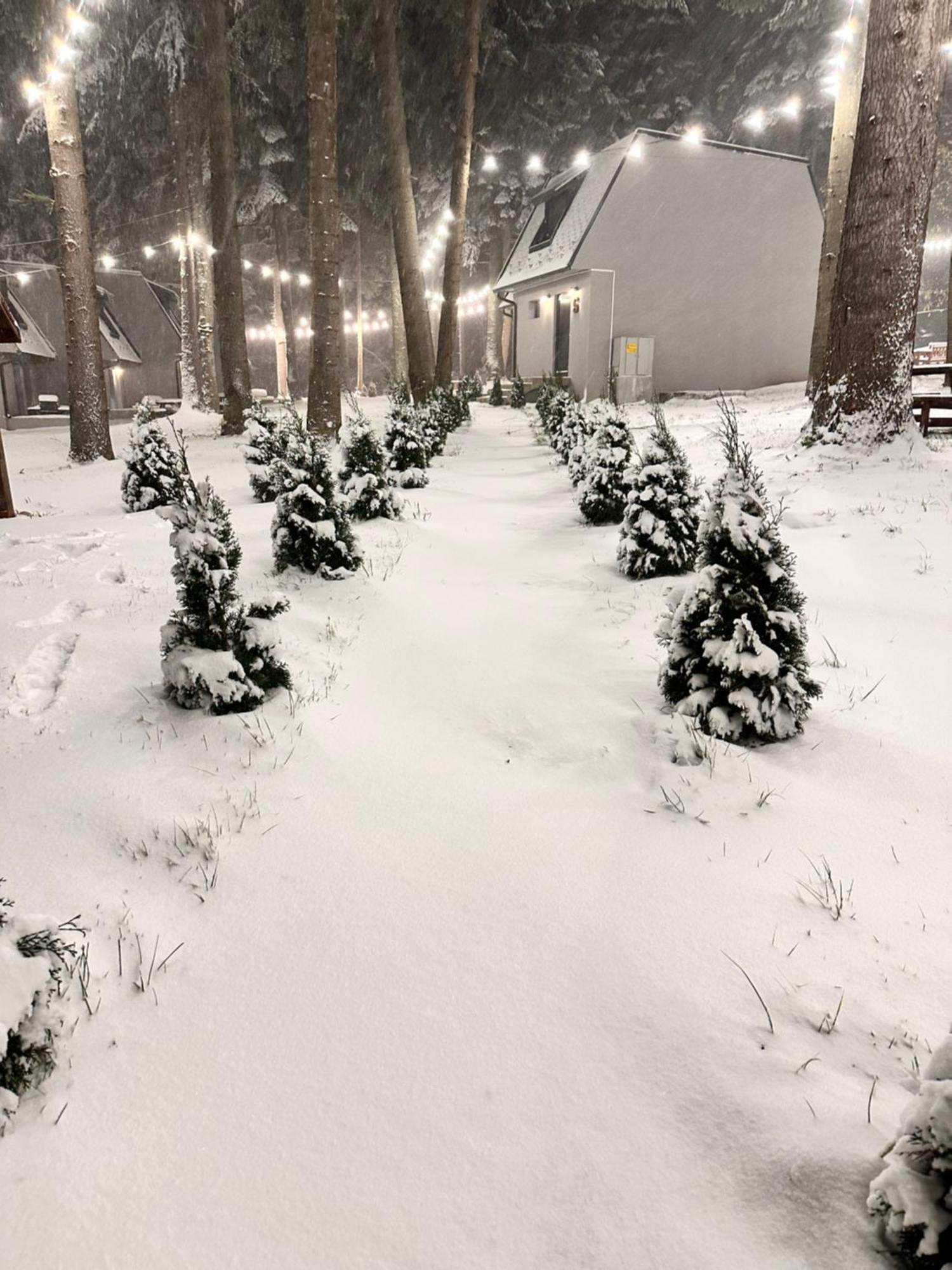 Boro Green Holiday Village Borovets Eksteriør bilde