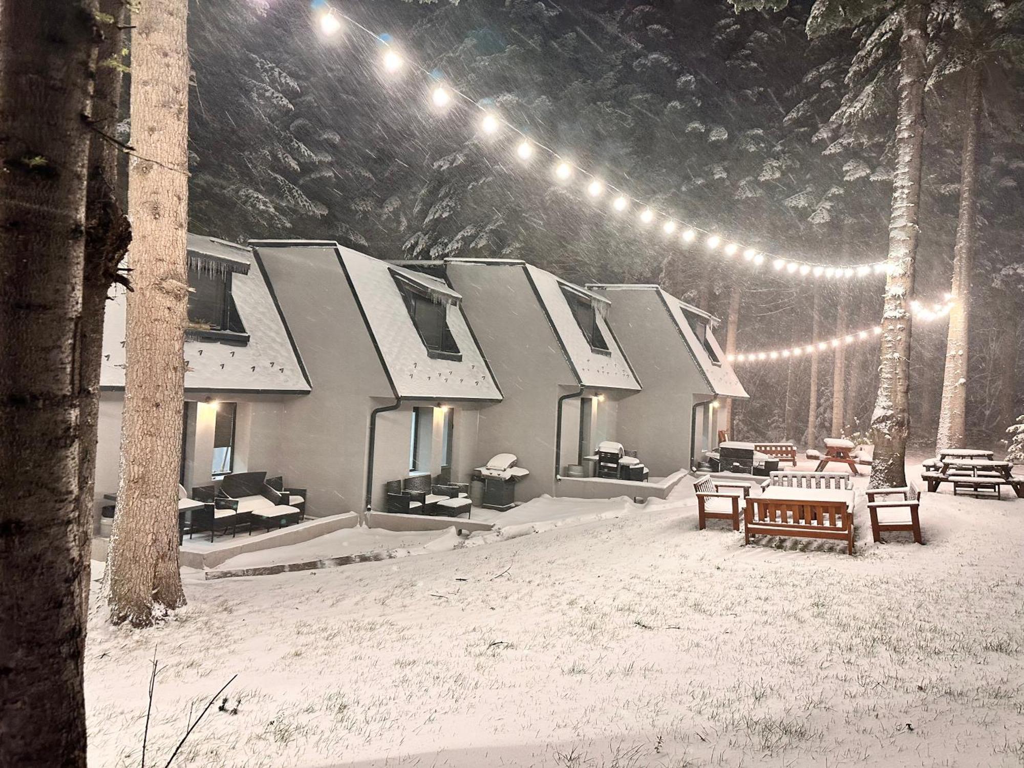 Boro Green Holiday Village Borovets Eksteriør bilde
