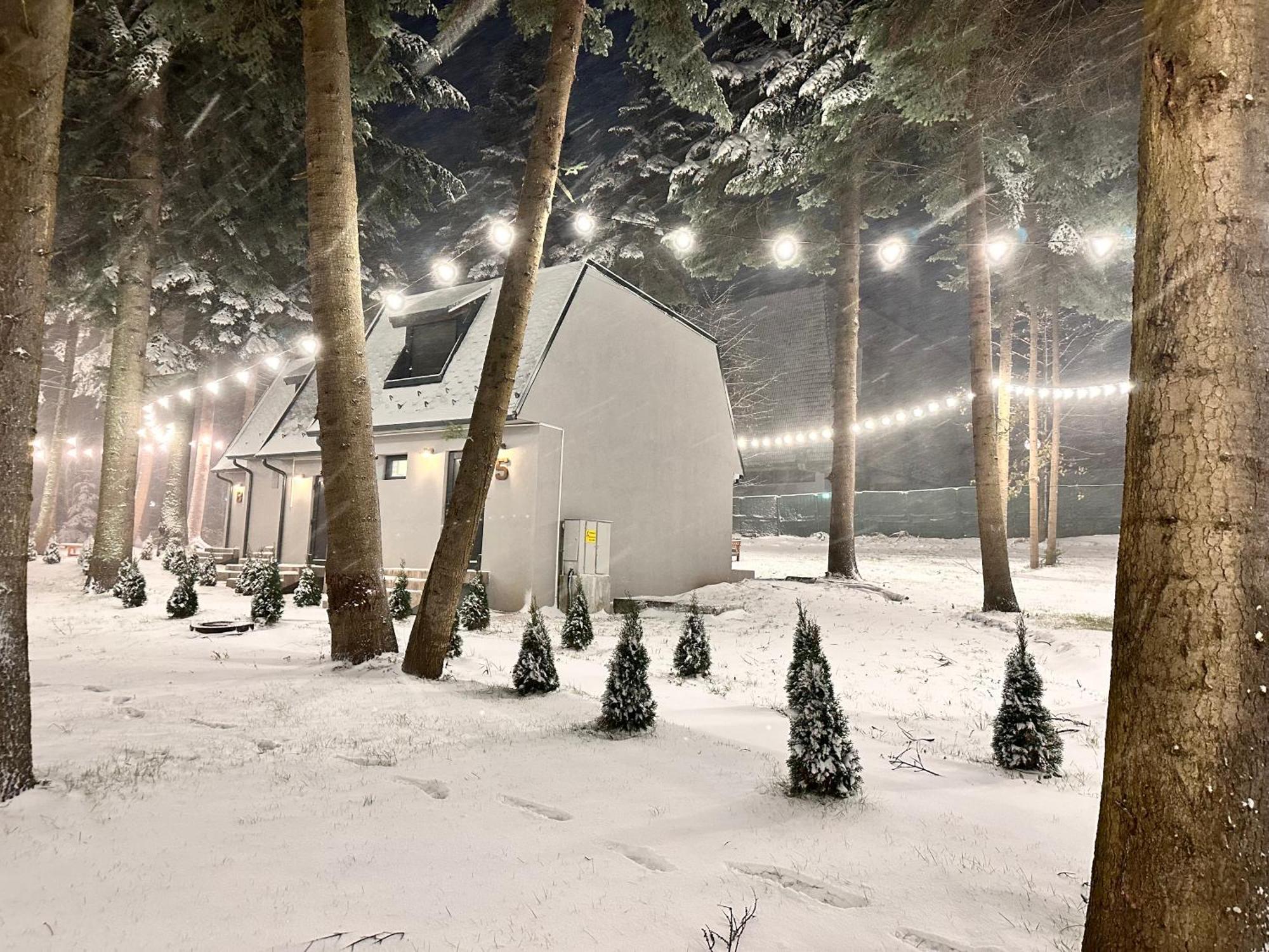 Boro Green Holiday Village Borovets Eksteriør bilde