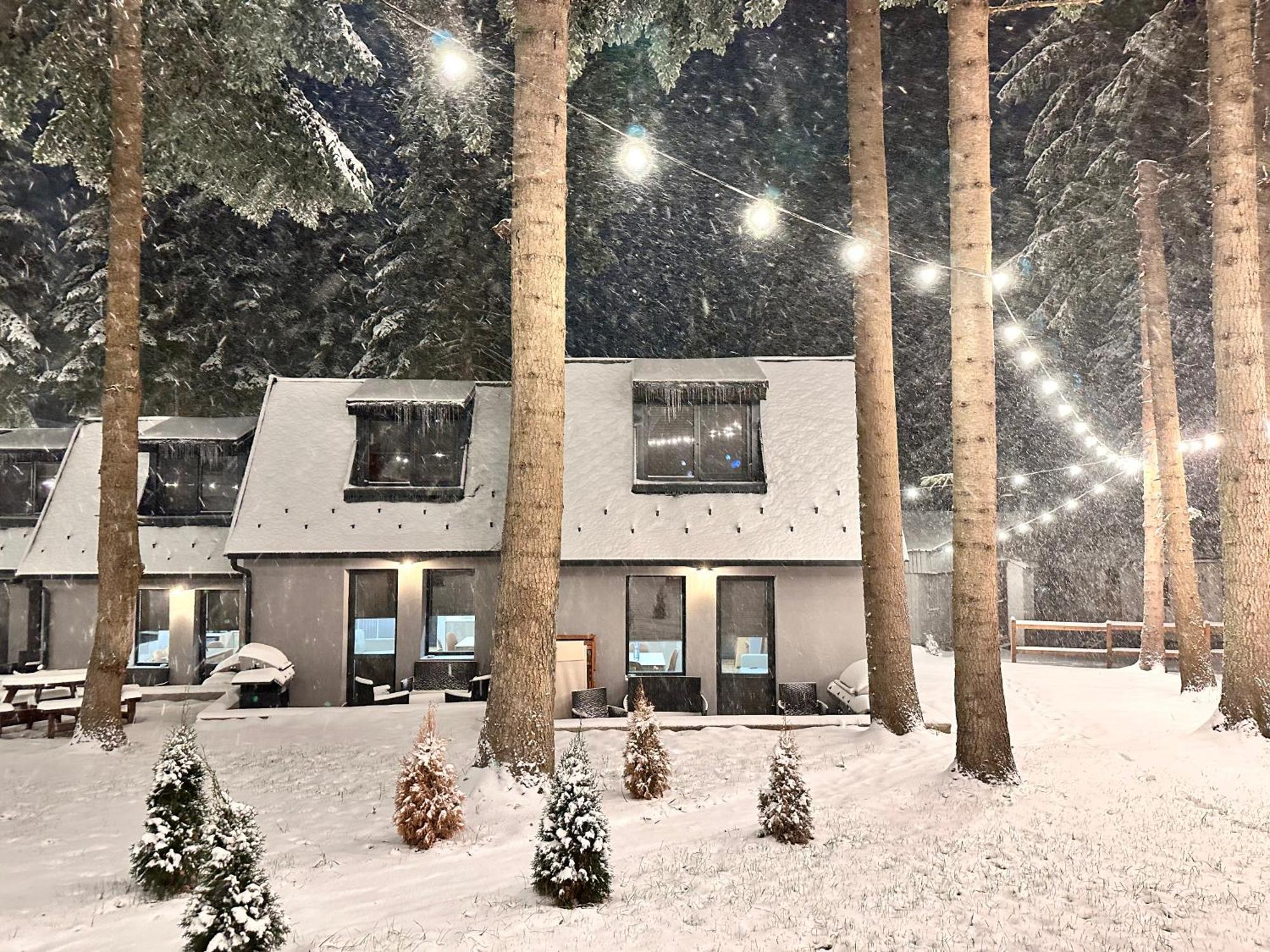 Boro Green Holiday Village Borovets Eksteriør bilde