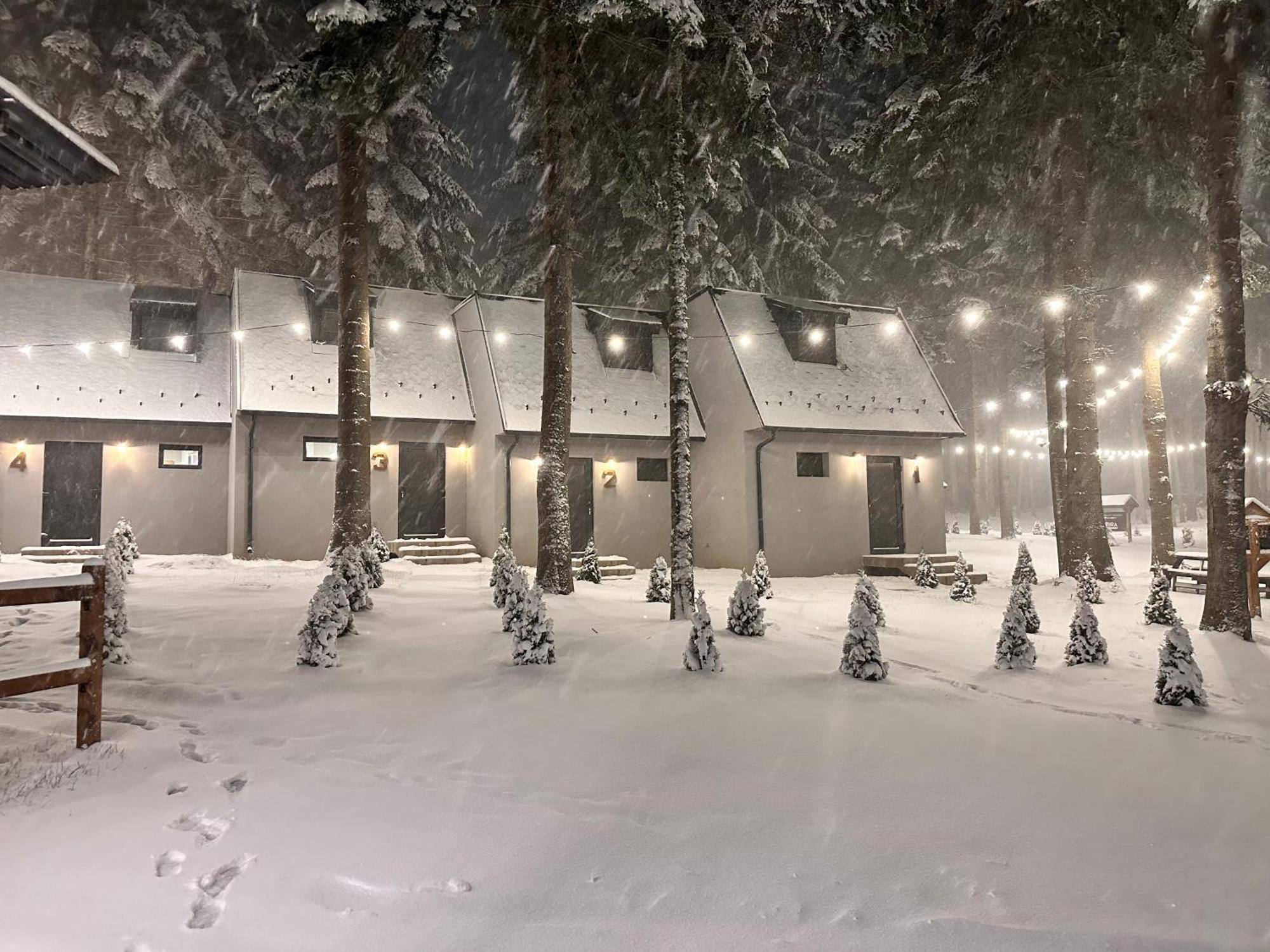 Boro Green Holiday Village Borovets Eksteriør bilde