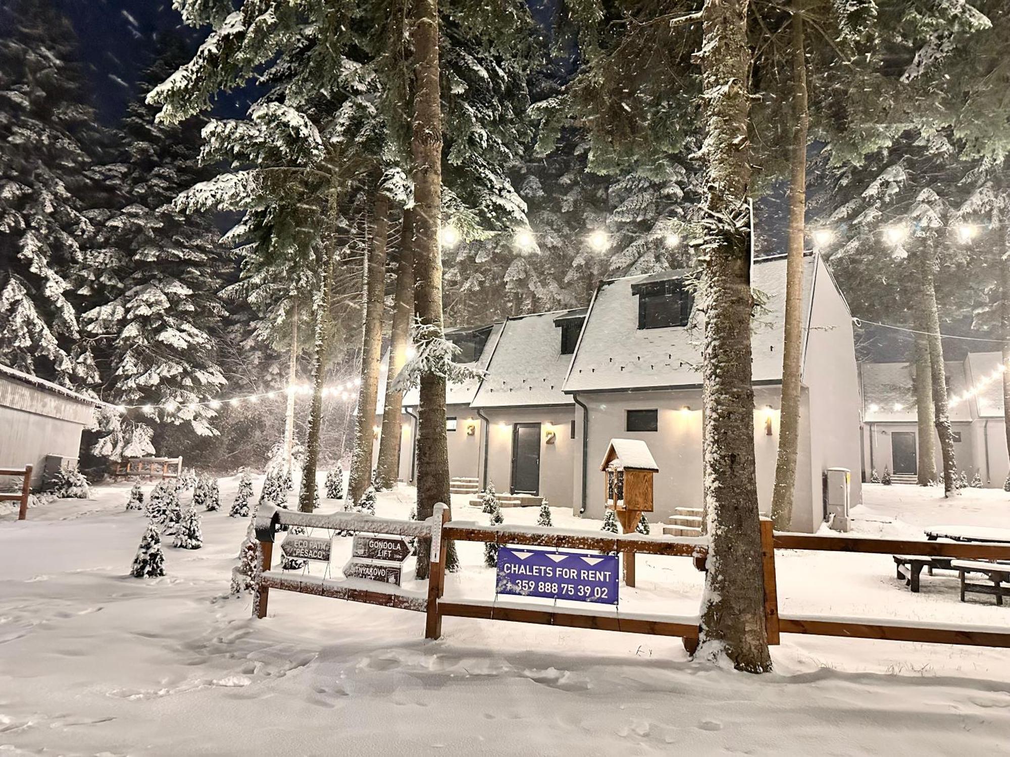 Boro Green Holiday Village Borovets Eksteriør bilde