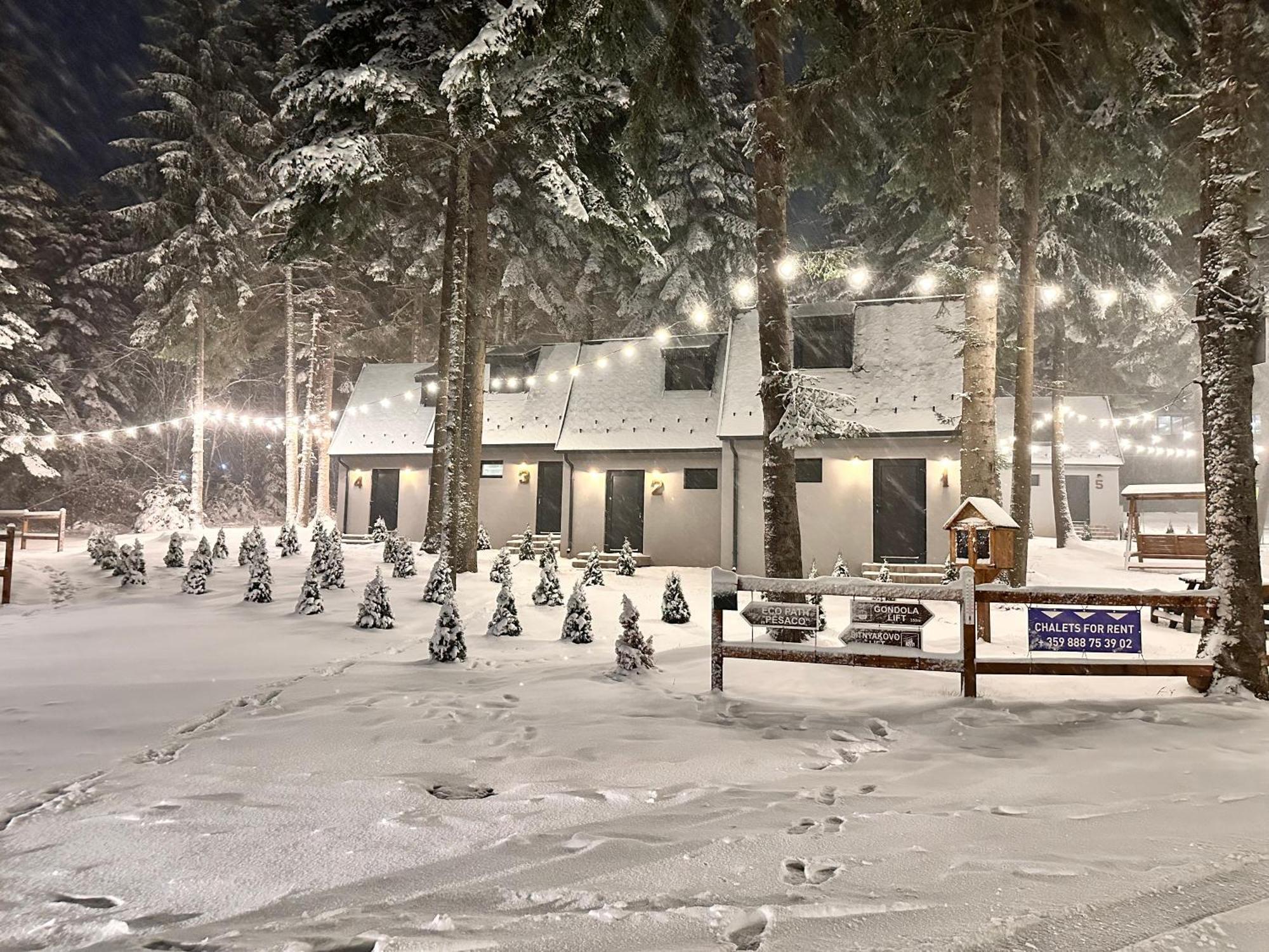 Boro Green Holiday Village Borovets Eksteriør bilde