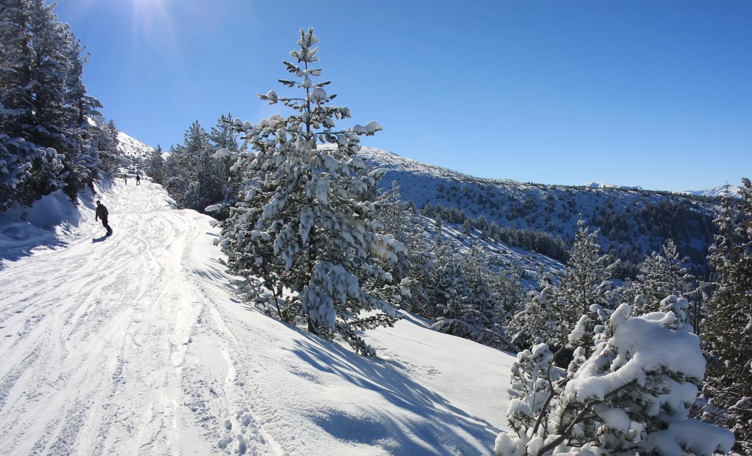 Boro Green Holiday Village Borovets Eksteriør bilde