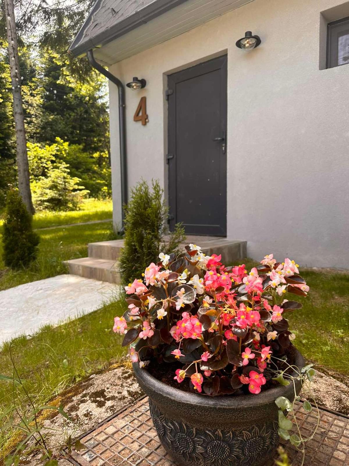Boro Green Holiday Village Borovets Eksteriør bilde